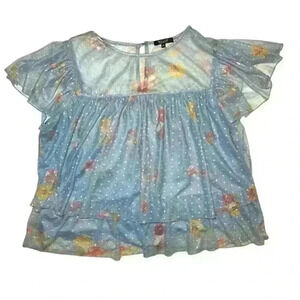 Willow Floral Embroidered Cottage Core Polka Dot Tiered Top, 2XL